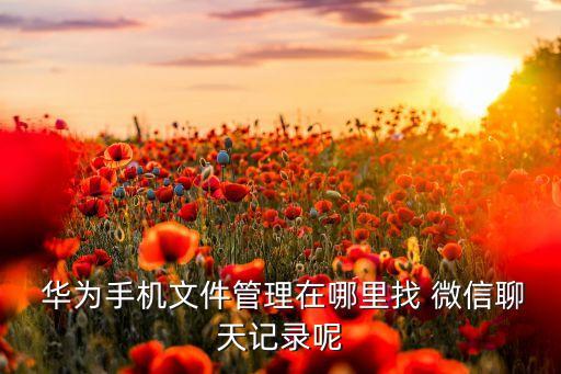 華為收集微信數(shù)據(jù),華為手機(jī)微信數(shù)據(jù)遷移到新手機(jī)