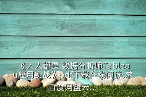 《人人都是 數(shù)據(jù)分析師Tableau應(yīng)用實(shí)戰(zhàn)》pdf下載在線閱讀,求百度網(wǎng)盤云...