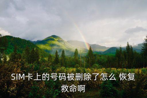 sim卡數(shù)據(jù)怎么恢復(fù),默認(rèn)sim卡數(shù)據(jù)是什么