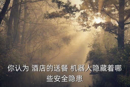 你認(rèn)為 酒店的送餐 機(jī)器人隱藏著哪些安全隱患