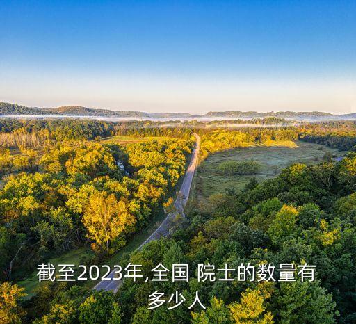 中科院數(shù)據(jù)科學(xué)院士