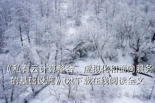 《私有云計算整合、虛擬化和面向服務(wù)的基礎(chǔ)設(shè)施》txt下載在線閱讀全文...