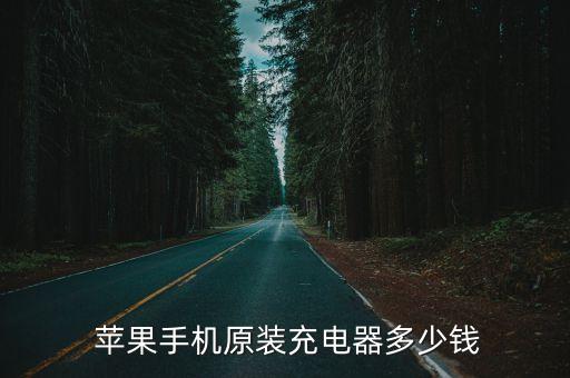  蘋果手機(jī)原裝充電器多少錢