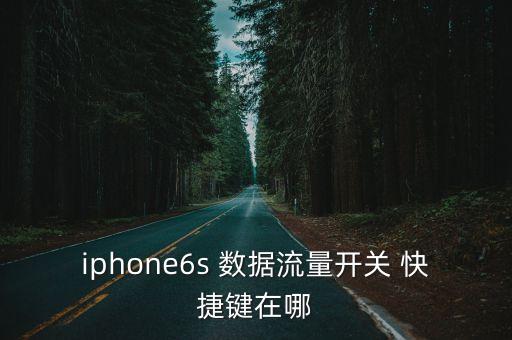 iphone6s 數(shù)據(jù)流量開關(guān) 快捷鍵在哪