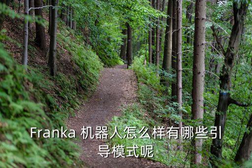 franka機(jī)器人 開放性,Franka機(jī)器人