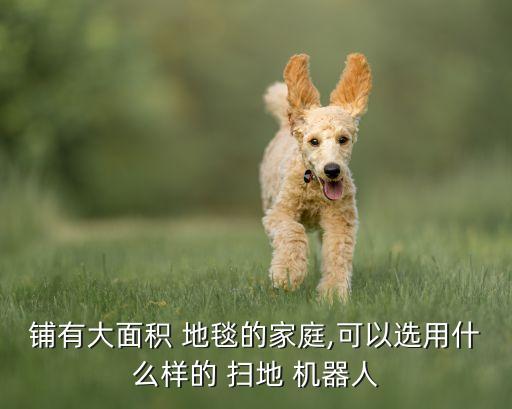 掃地機(jī)器人遇到地毯