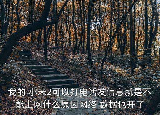 我的 小米2可以打電話發(fā)信息就是不能上網(wǎng)什么原因網(wǎng)絡(luò) 數(shù)據(jù)也開了
