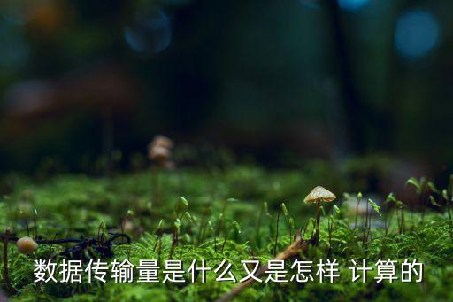  數(shù)據(jù)傳輸量是什么又是怎樣 計算的