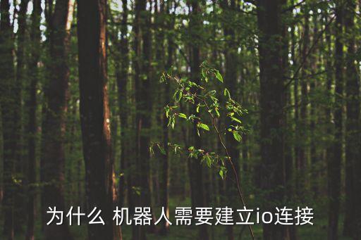 為什么 機(jī)器人需要建立io連接