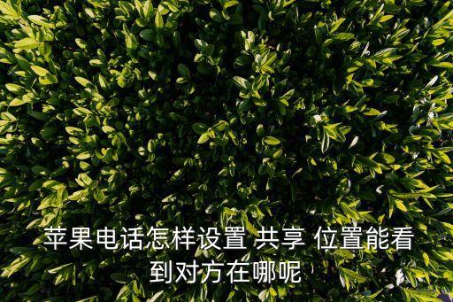  蘋果電話怎樣設(shè)置 共享 位置能看到對方在哪呢