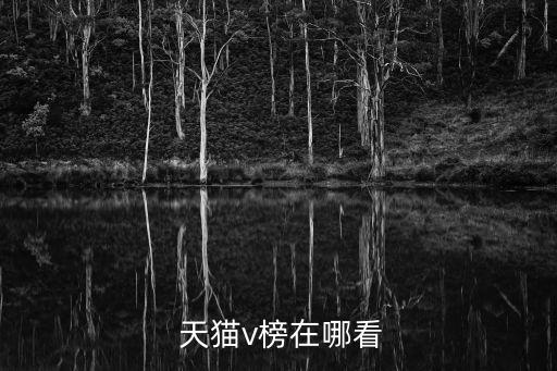  天貓v榜在哪看