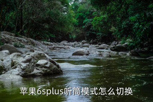 iphone6splus語(yǔ)音和數(shù)據(jù)設(shè)置