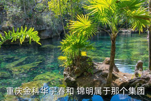 重慶金科華宇春和 錦明屬于那個集團
