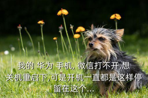 我的 華為 手機(jī), 微信打不開,想關(guān)機(jī)重啟下,可是開機(jī)一直都是這樣停留在這個...
