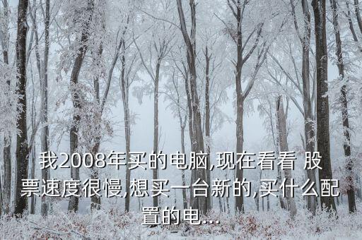 西部數(shù)據(jù) 股票