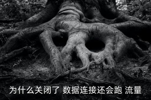 為什么關閉了 數(shù)據(jù)連接還會跑 流量