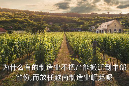為什么有的制造業(yè)不把產(chǎn)能搬遷到中部省份,而放任越南制造業(yè)崛起呢