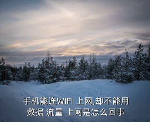  手機能連WIFI 上網(wǎng),卻不能用 數(shù)據(jù) 流量 上網(wǎng)是怎么回事