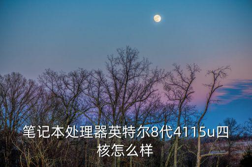 筆記本處理器英特爾8代4115u四核怎么樣