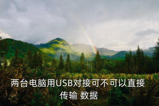兩臺(tái)電腦用USB對接可不可以直接 傳輸 數(shù)據(jù)