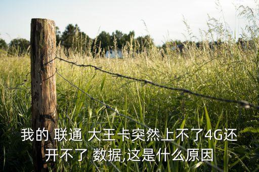 聯(lián)通大王卡開數(shù)據(jù)