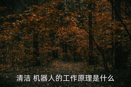 清潔 機器人的工作原理是什么