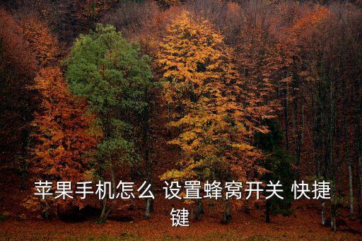  蘋果手機怎么 設置蜂窩開關(guān) 快捷鍵
