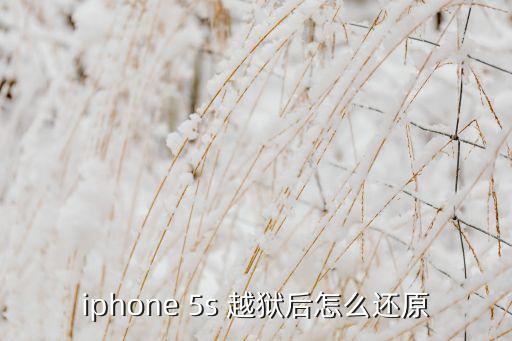 蘋果5s越獄了抹去所有數(shù)據(jù)