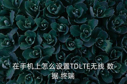 在手機(jī)上怎么設(shè)置TDLTE無(wú)線 數(shù)據(jù) 終端