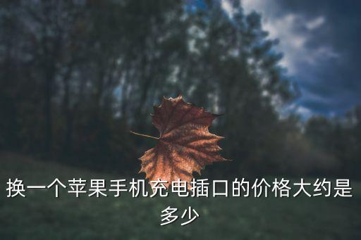 換一個蘋果手機充電插口的價格大約是多少