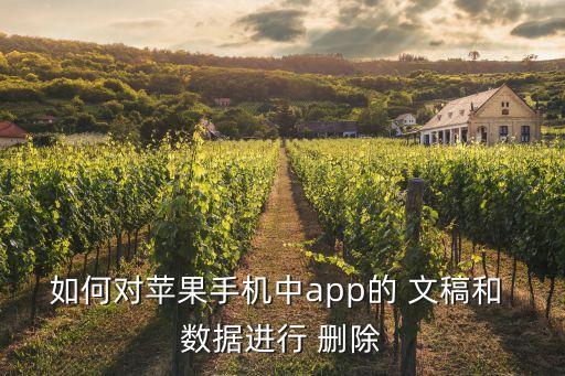 如何對(duì)蘋果手機(jī)中app的 文稿和 數(shù)據(jù)進(jìn)行 刪除