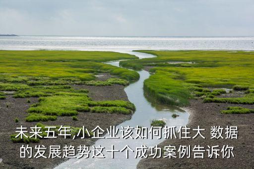 大數(shù)據(jù)公司國外,windows數(shù)據(jù)國外處理
