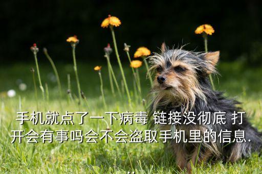 手機(jī)就點(diǎn)了一下病毒 鏈接沒(méi)徹底 打開(kāi)會(huì)有事嗎會(huì)不會(huì)盜取手機(jī)里的信息...