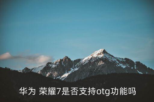  華為 榮耀7是否支持otg功能嗎