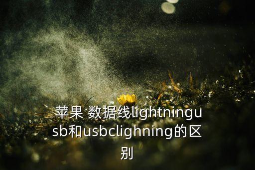  蘋果 數(shù)據(jù)線lightningusb和usbclighning的區(qū)別