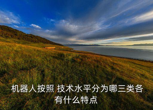  機器人按照 技術水平分為哪三類各有什么特點