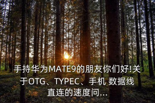 蘋果數(shù)據(jù)線mate9