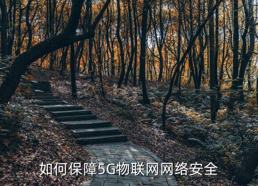 5g和大數(shù)據(jù),5g數(shù)據(jù)通訊(SA)