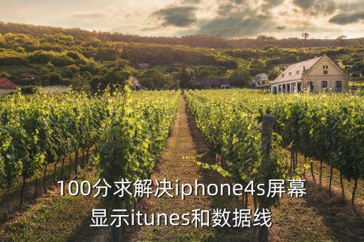 港版蘋果4S不知怎么打開數(shù)據(jù)線一
