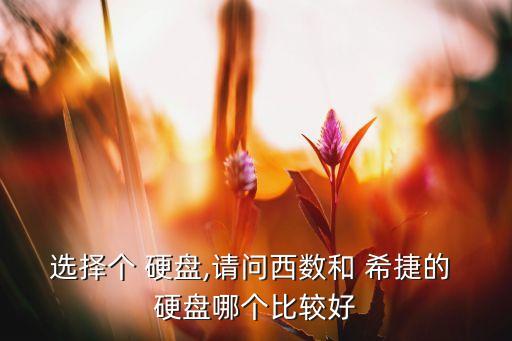 選擇個 硬盤,請問西數(shù)和 希捷的 硬盤哪個比較好