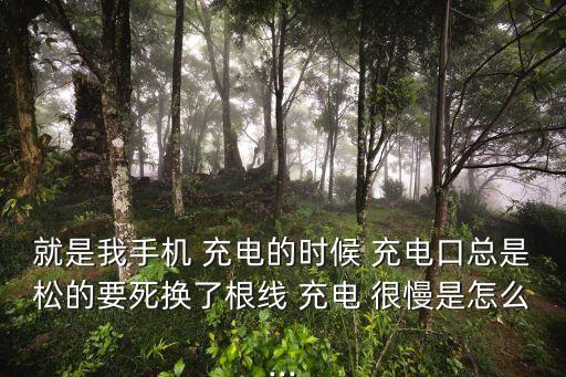 就是我手機(jī) 充電的時候 充電口總是松的要死換了根線 充電 很慢是怎么...
