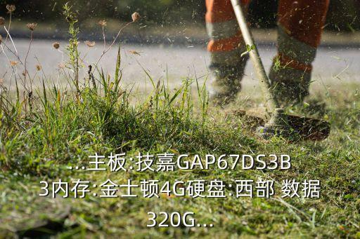 ...主板:技嘉GAP67DS3B3內(nèi)存:金士頓4G硬盤:西部 數(shù)據(jù)320G...