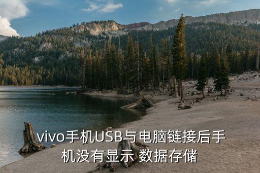  vivo手機(jī)USB與電腦鏈接后手機(jī)沒有顯示 數(shù)據(jù)存儲(chǔ)