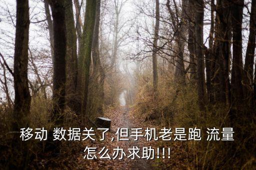 移動 數(shù)據(jù)關(guān)了,但手機老是跑 流量怎么辦求助!!!