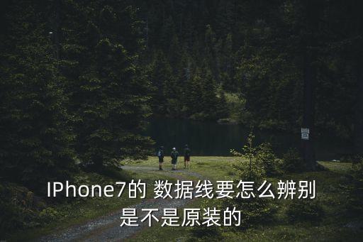 IPhone7的 數(shù)據(jù)線要怎么辨別是不是原裝的