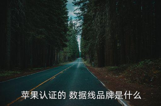 蘋果工廠數(shù)據(jù)線,蘋果數(shù)據(jù)線怎么連接電腦