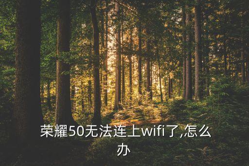 榮耀數(shù)據(jù)連接不上網(wǎng)絡(luò)連接不上去