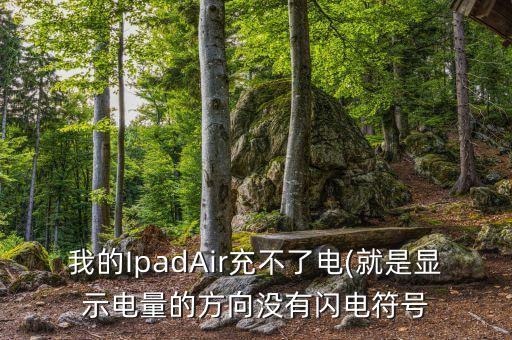 我的IpadAir充不了電(就是顯示電量的方向沒(méi)有閃電符號(hào)