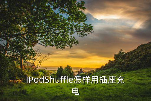 ipod shuffle 的數(shù)據(jù)線