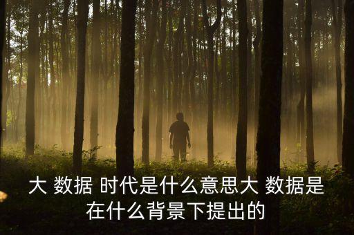 大 數(shù)據(jù) 時代是什么意思大 數(shù)據(jù)是在什么背景下提出的